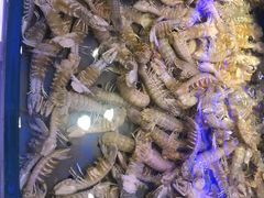 -澜悦港海鲜体验主题餐厅