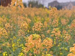 -中国天府农业博览园