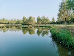 -东郊湿地公园