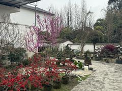 -郫都区农科村景区