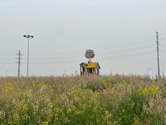 -杭州湾海上花田景区
