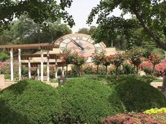 -石家庄市植物园