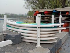 -WhaleSports户外水上运动俱乐部(朝阳公园店)
