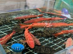 -阿毛饭店首店·宁波老字号(文化广场店)