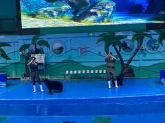 -石家庄极地海洋世界