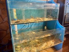 罗氏虾-Thai Basil罗勒叶泰式餐厅(时代天街店)