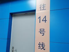-大望路(地铁站)