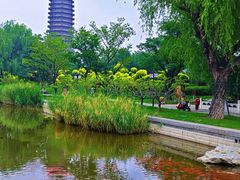 -西海子公园