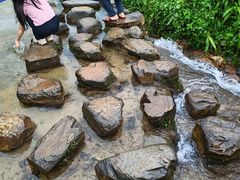 -佛山市三水区大南山森林公园