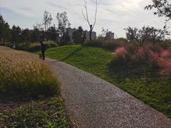 -汉长安城未央宫国家考古遗址公园