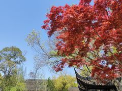 -苏州文庙(姑苏区)