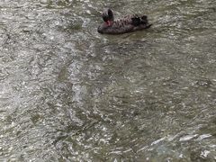 -水磨沟公园