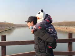 -西青郊野公园