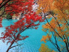 -叠溪松坪沟景区