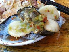 带子-老三鱼仔店