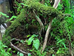 -Rabbit Cafe私房西餐甜点咖啡(栖霞路店)