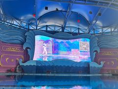 -横店影视城梦幻谷园区