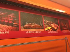 -华美国际影城(旧宫永辉店)