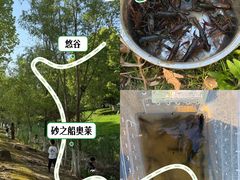 -砂之船奥莱(南京江宁店)