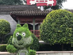 -阳台山自然风景区