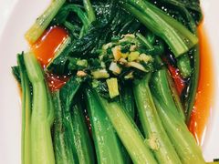 芥蓝-澳门陈光记烧味饭店(郎家园店)