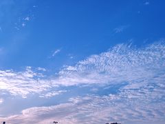 -白浪花漂流