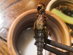 -亮欢寨酸汤鱼(沙冲路店)