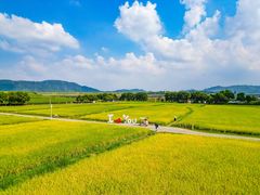 -光明小镇欢乐田园