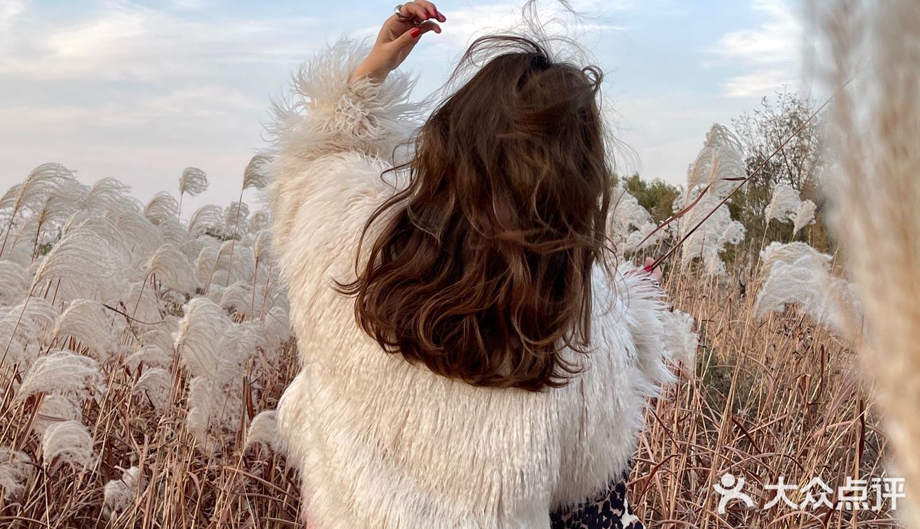 济南免费拍照圣地❗️芦苇荡拍照攻略