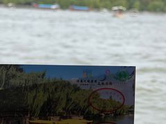 -东坝千亩湖公园
