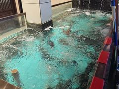 -鱼痴渔醉·食鲜集(月亮湾店)