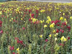 -厦门国家会计学院