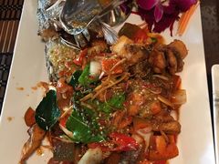 -Daddy Nimman Chiang Mai
