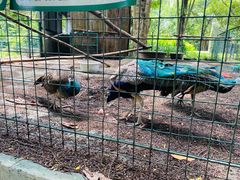 -佛山祈福仙湖酒店