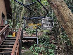 -三亚亚龙湾人间天堂鸟巢度假村