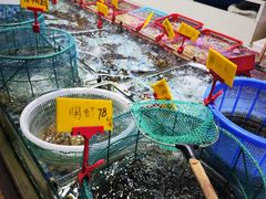 -阿里元老宋海鲜大排档(明发店)