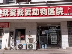-中农大我爱我爱24h动物医院·中医针灸·猫专科·骨科医疗中心(双井店)