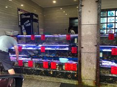 水产区-金海湾海鲜排档(朱家尖店)