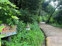 -杭州开元森泊度假乐园