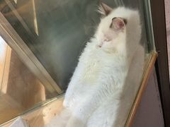 -宠物世家(仲盛世界商城店)