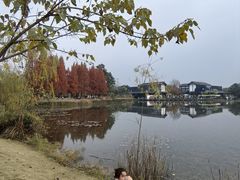 -白鹭湾湿地公园