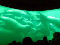 -珠海横琴国家地理探险家中心(创新方)