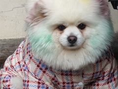 -盂城驿-南门大街