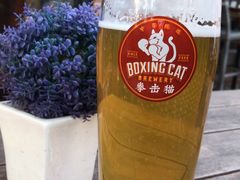 -Boxing Cat Brewery拳击猫精酿啤酒馆(永福店)