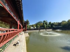 -尚庄度假村·庭台树下·户外烧烤·团建CS·轰趴营地(上庄水库店)
