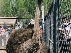 -长白岛森林公园