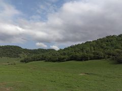 -关山草原