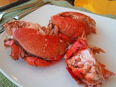 -视界美食自助餐厅·石家庄希尔顿酒店