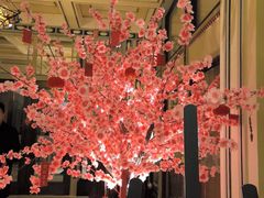 -上海和平饭店茉·莉酒廊 Jasmine Lounge