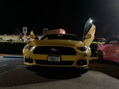 -丽姐租车
